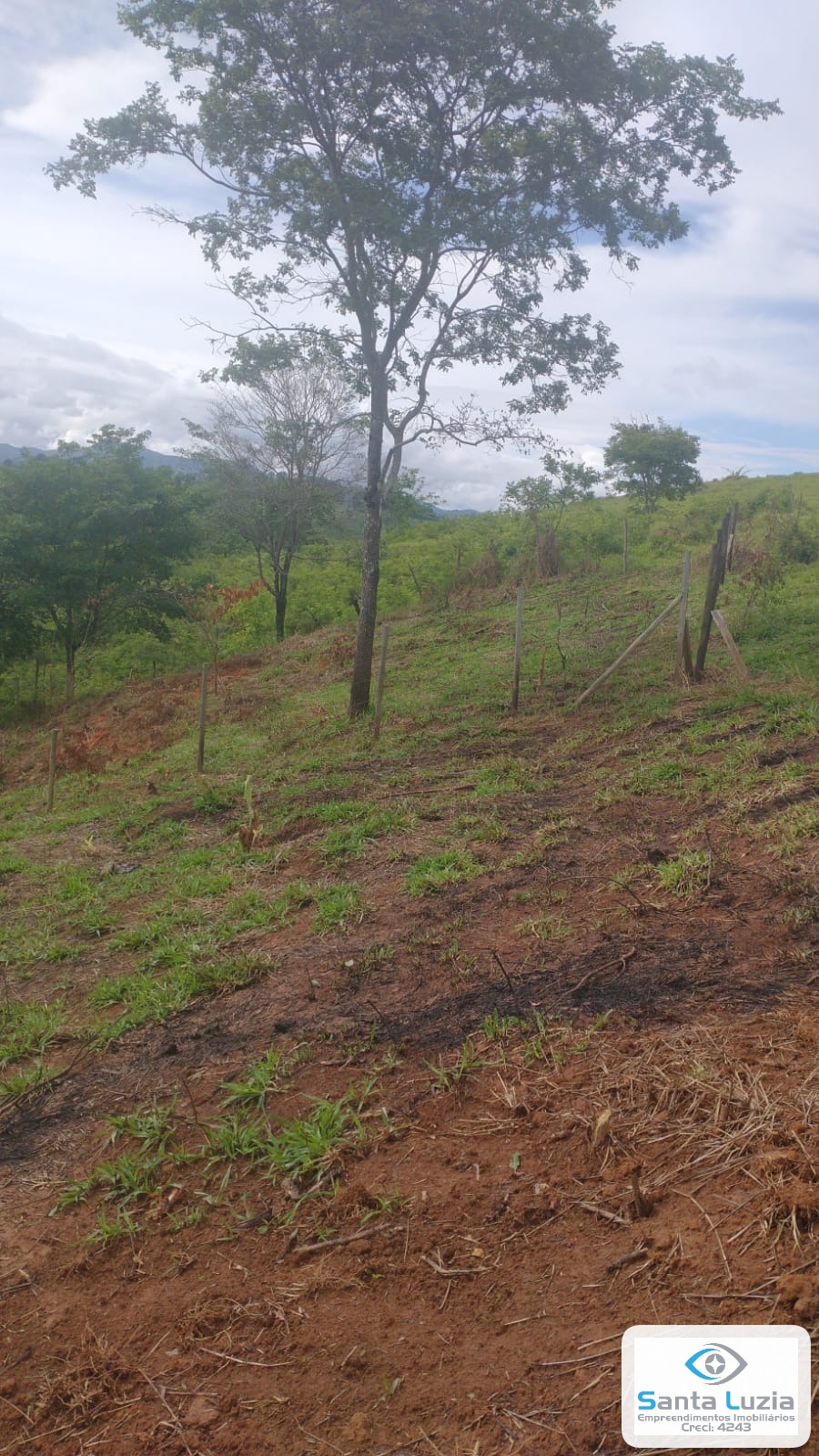 Lote em Fecho - foto 5